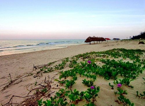 Bãi biển Nhật Lệ (Quảng Bình)